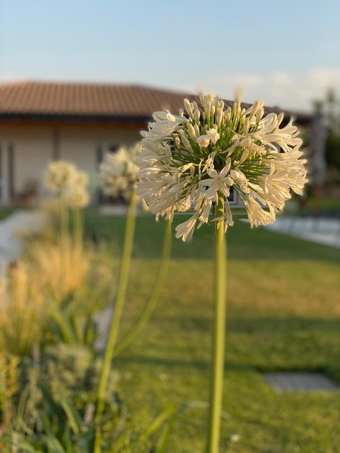 Agriturismo Pepe Rosa Rivoli Veronese Exterior photo